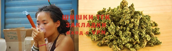 spice Гусиноозёрск