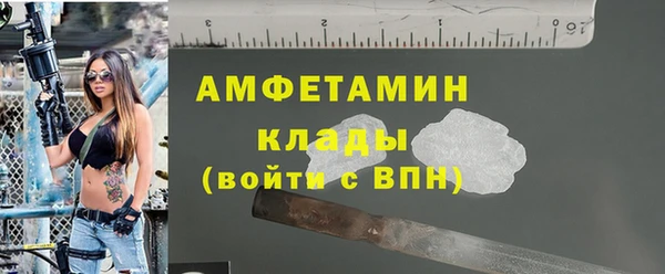 Альфа ПВП Гусь-Хрустальный