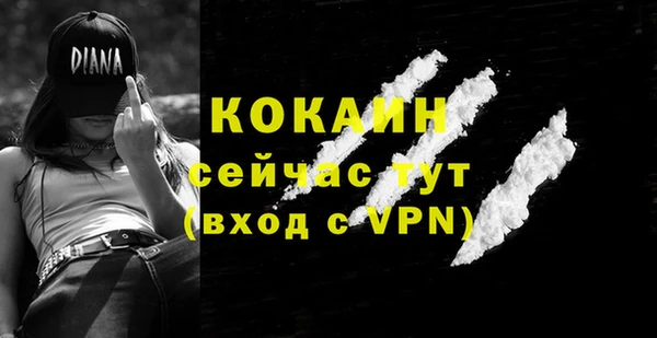 Альфа ПВП Гусь-Хрустальный