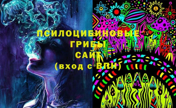 Альфа ПВП Гусь-Хрустальный