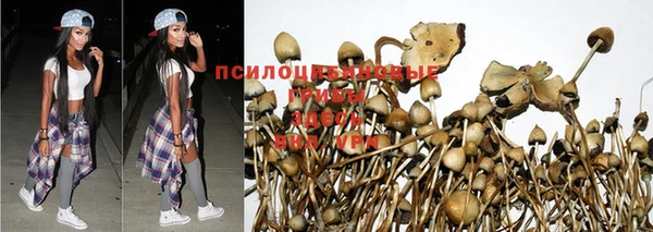 марихуана Гусев