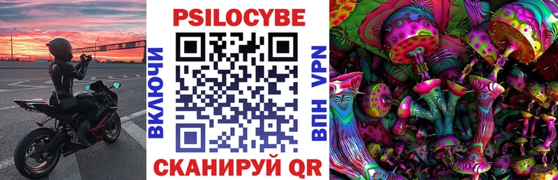 Купить  Лодейное Поле  Псилоцибиновые грибы Cubensis 